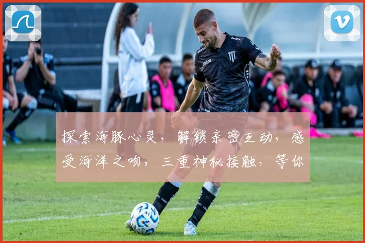 探索海豚心灵，解锁亲密互动，感受海洋之吻，三重神秘接触，等你揭秘