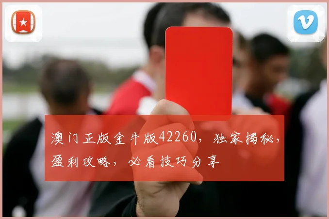 澳门正版金牛版42260，独家揭秘，盈利攻略，必看技巧分享